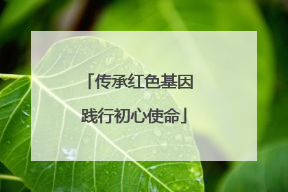 传承红色基因 践行初心使命