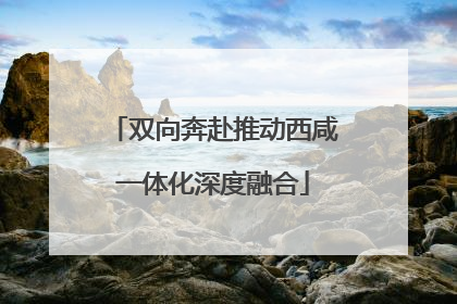 双向奔赴推动西咸一体化深度融合