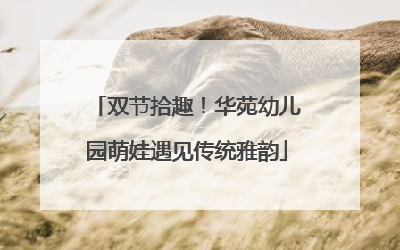 双节拾趣！华苑幼儿园萌娃遇见传统雅韵