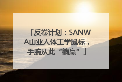 反卷计划：SANWA山业人体工学鼠标，手腕从此“躺赢”