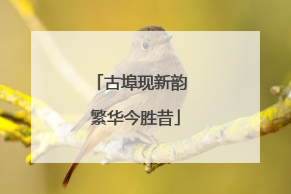 古埠现新韵 繁华今胜昔