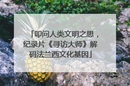叩问人类文明之思，纪录片《寻访大师》解码法兰西文化基因