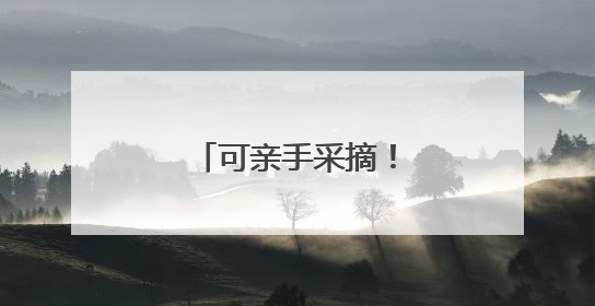 可亲手采摘！这里有超多夏日时令蔬菜上线