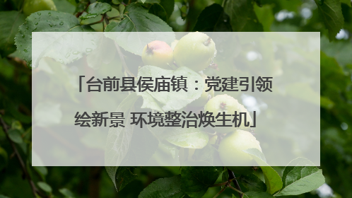 台前县侯庙镇：党建引领绘新景 环境整治焕生机