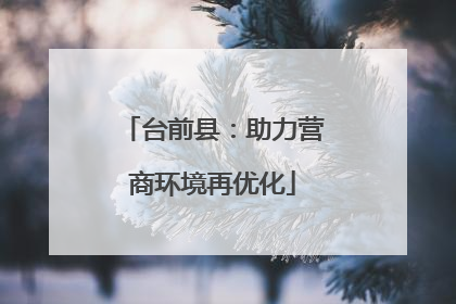 台前县：助力营商环境再优化