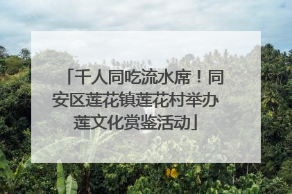 千人同吃流水席！同安区莲花镇莲花村举办莲文化赏鉴活动