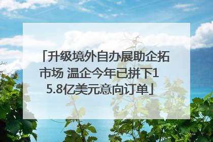 升级境外自办展助企拓市场 温企今年已拼下15.8亿美元意向订单