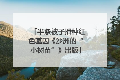 半条被子播种红色基因《沙洲的“小树苗”》出版