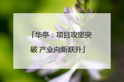 华亭：项目攻坚突破 产业向新跃升
