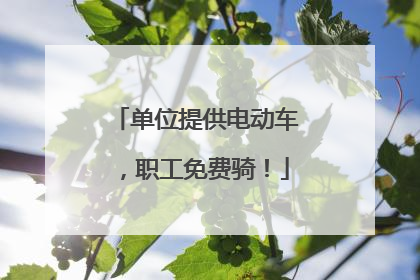单位提供电动车，职工免费骑！