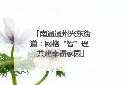 南通通州兴东街道：网格“智”理 共建幸福家园
