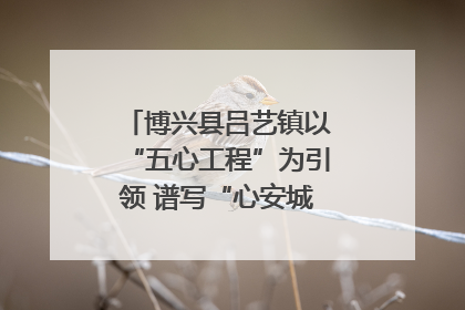 博兴县吕艺镇以“五心工程”为引领 谱写“心安城市”建设新篇章