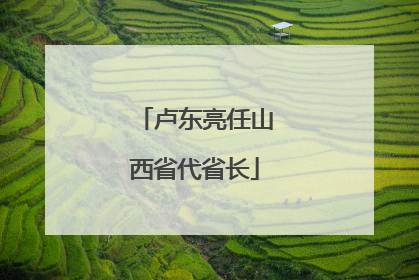 卢东亮任山西省代省长