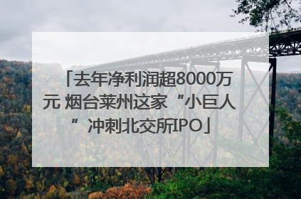 去年净利润超8000万元 烟台莱州这家“小巨人”冲刺北交所IPO