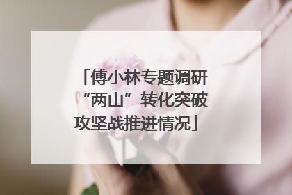 傅小林专题调研“两山”转化突破攻坚战推进情况