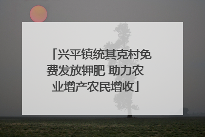 兴平镇统其克村免费发放钾肥 助力农业增产农民增收