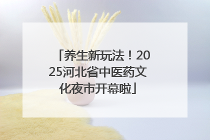 养生新玩法！2025河北省中医药文化夜市开幕啦