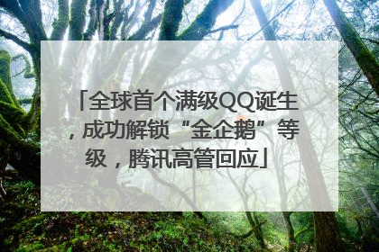全球首个满级QQ诞生，成功解锁“金企鹅”等级，腾讯高管回应