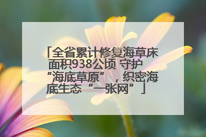 全省累计修复海草床面积938公顷 守护“海底草原”，织密海底生态“一张网”