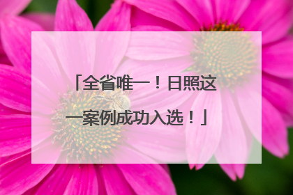全省唯一！日照这一案例成功入选！