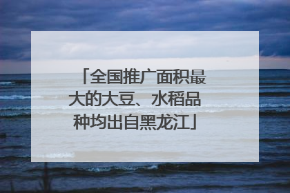全国推广面积最大的大豆、水稻品种均出自黑龙江