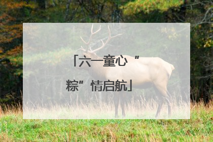 六一童心“粽”情启航