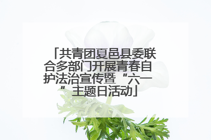 共青团夏邑县委联合多部门开展青春自护法治宣传暨“六一”主题日活动