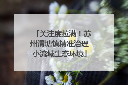 关注度拉满！苏州渭塘镇精准治理小流域生态环境