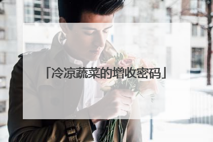 冷凉蔬菜的增收密码