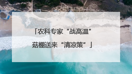 农科专家“战高温” 菇棚送来“清凉策”