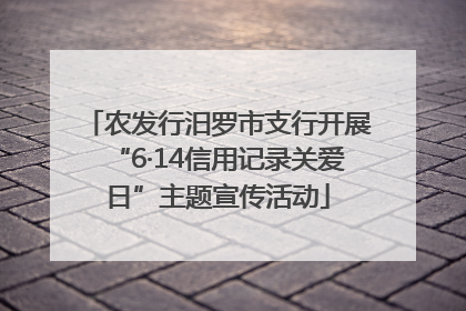 农发行汨罗市支行开展“6·14信用记录关爱日”主题宣传活动