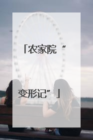 农家院“变形记”