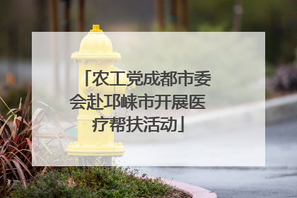 农工党成都市委会赴邛崃市开展医疗帮扶活动