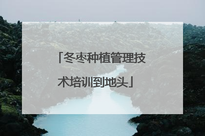 冬枣种植管理技术培训到地头