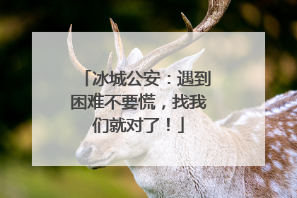 冰城公安：遇到困难不要慌，找我们就对了！