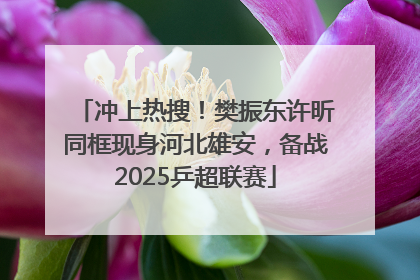 冲上热搜！樊振东许昕同框现身河北雄安，备战2025乒超联赛