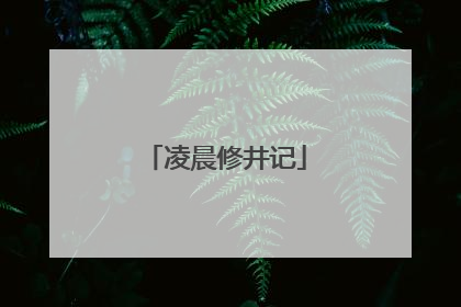 凌晨修井记