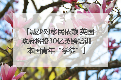 减少对移民依赖 英国政府将投30亿英镑培训本国青年“学徒”