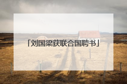 刘国梁获联合国聘书