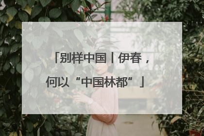 别样中国丨伊春，何以“中国林都”