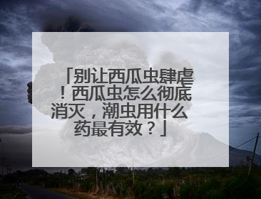 别让西瓜虫肆虐！西瓜虫怎么彻底消灭，潮虫用什么药最有效？