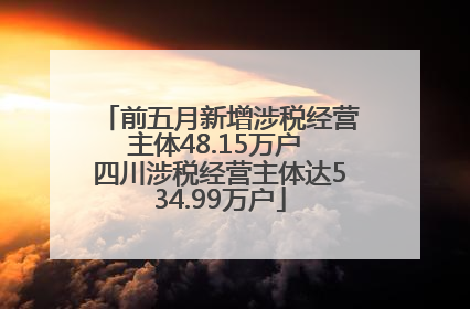 前五月新增涉税经营主体48.15万户 四川涉税经营主体达534.99万户