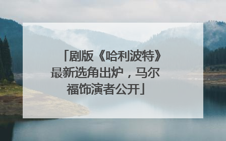 剧版《哈利波特》最新选角出炉，马尔福饰演者公开