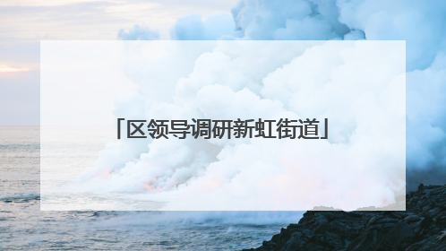 区领导调研新虹街道