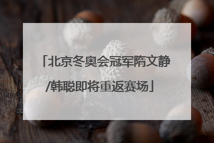 北京冬奥会冠军隋文静/韩聪即将重返赛场