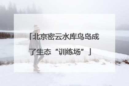 北京密云水库鸟岛成了生态“训练场”