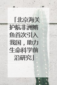 北京海关护航非洲鳉鱼首次引入我国，助力生命科学前沿研究