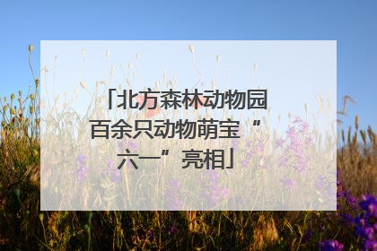 北方森林动物园百余只动物萌宝“六一”亮相