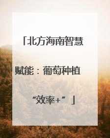 北方海南智慧赋能：葡萄种植“效率+”