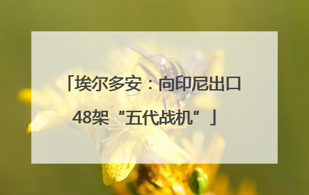 埃尔多安：向印尼出口48架“五代战机”